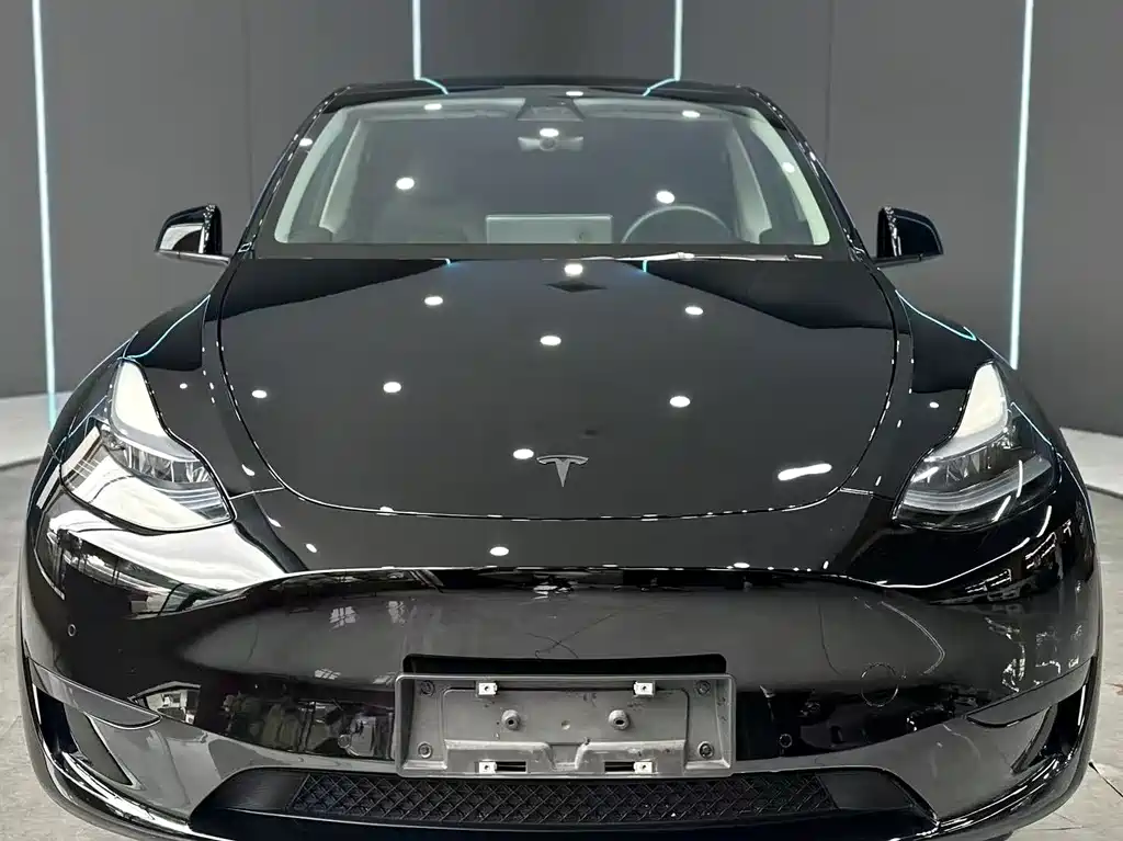 Tesla Model Y — миниатюра 2