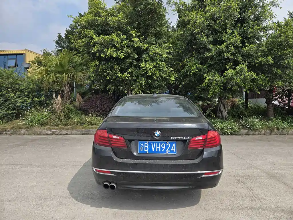 BMW 5 Series 5 2014 525Li