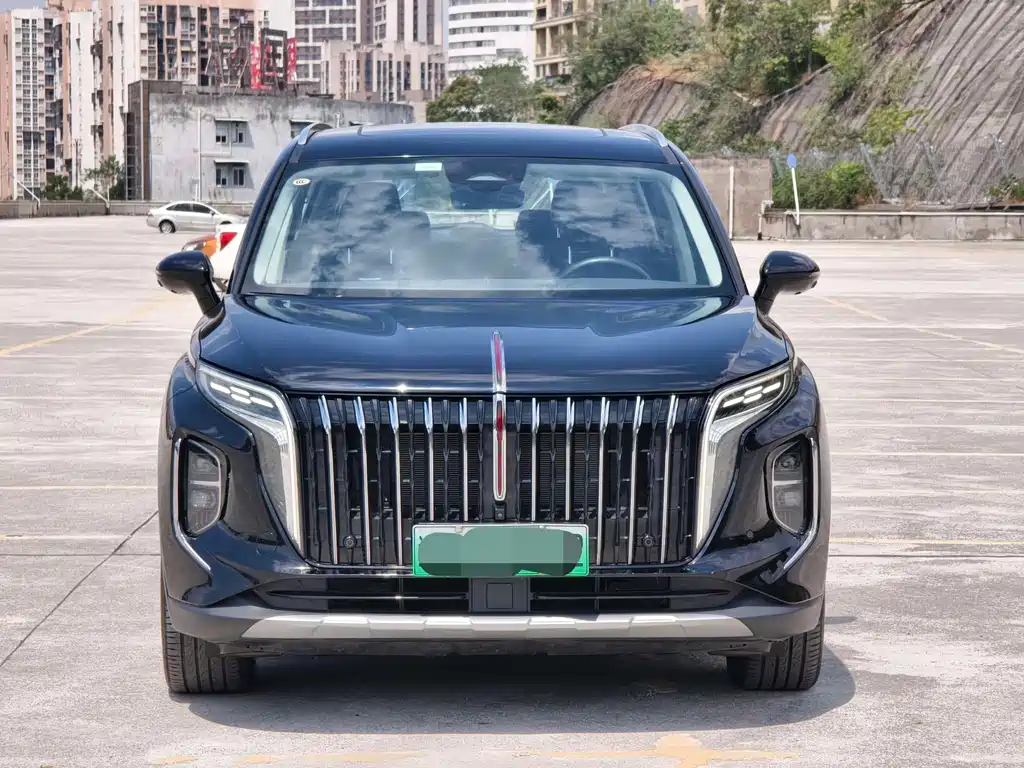 Hongqi Hongqi HS7 PHEV — миниатюра 7