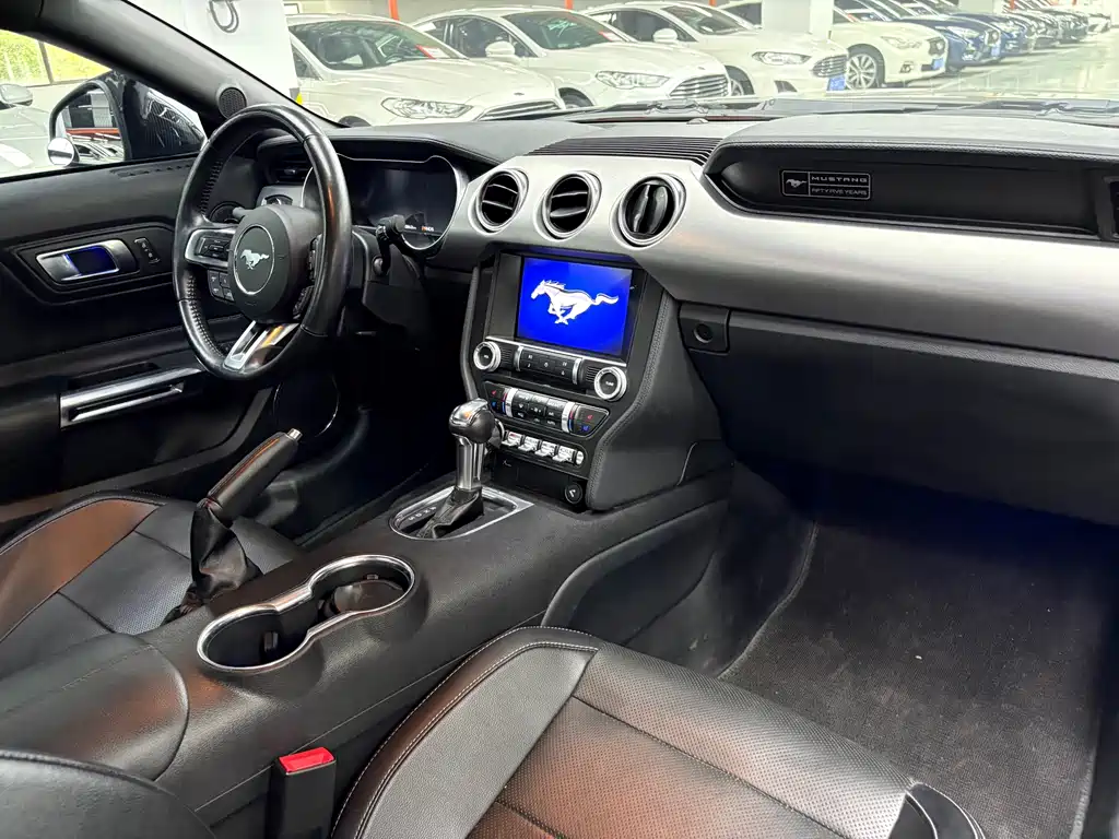 Ford Mustang — миниатюра 12
