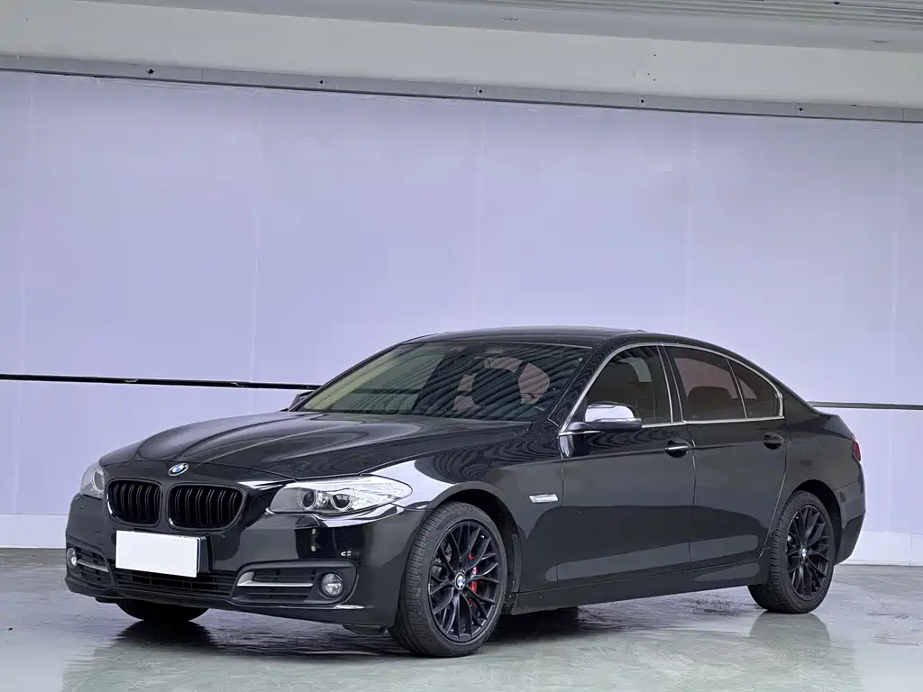 BMW 5 Series (Import) 2017