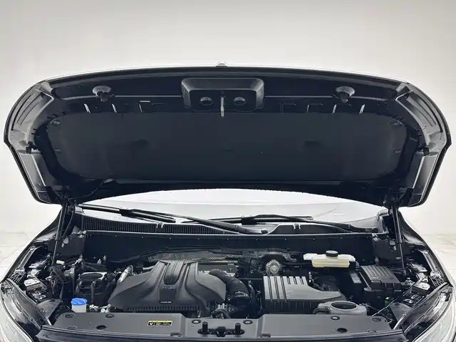 Hongqi HONGQI HS7 PHEV