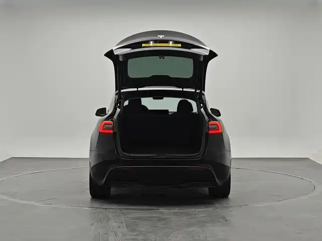 Tesla Model Y — миниатюра 8