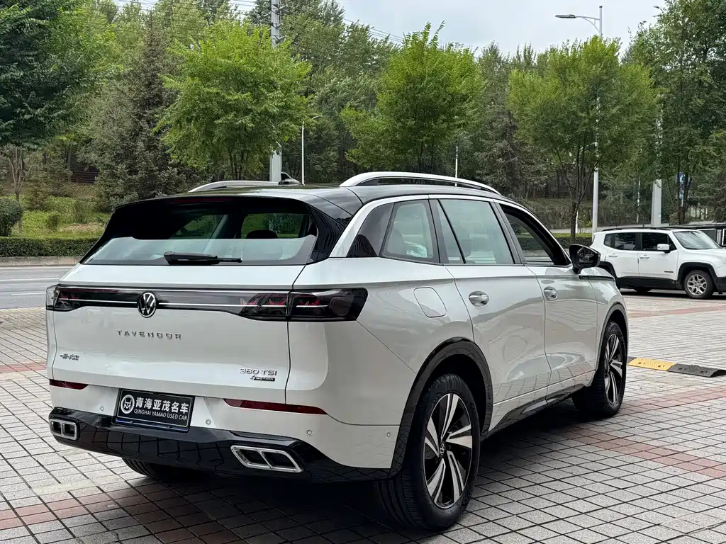 Volkswagen Tavendor — миниатюра 17