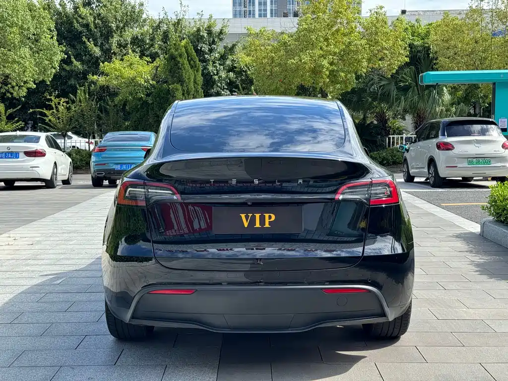 Tesla Model Y — фотографии объявления, Фото 6