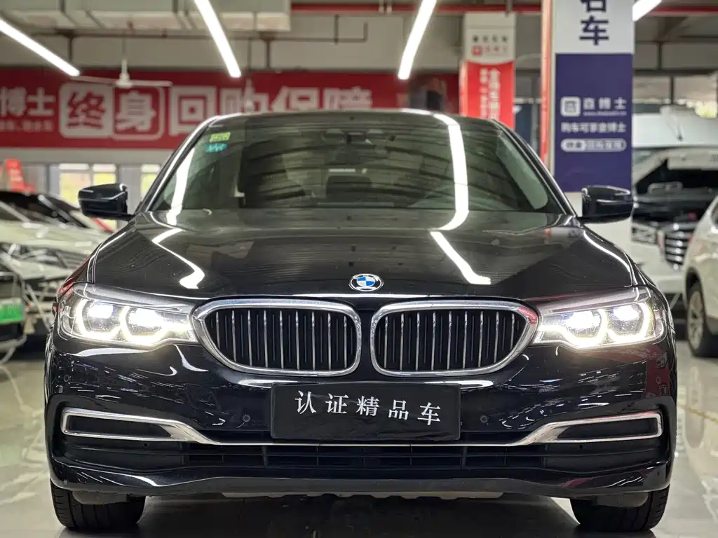 BMW 5 Series New Energy — миниатюра 2