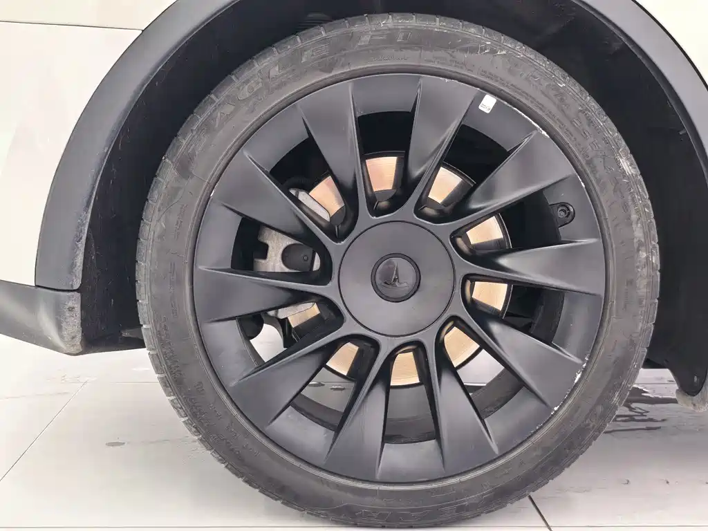 Tesla Model Y — миниатюра 19