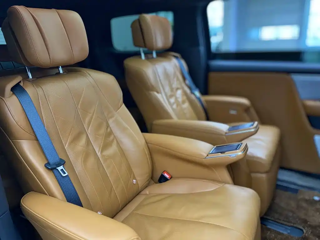 Buick Electra Encasa — миниатюра 33