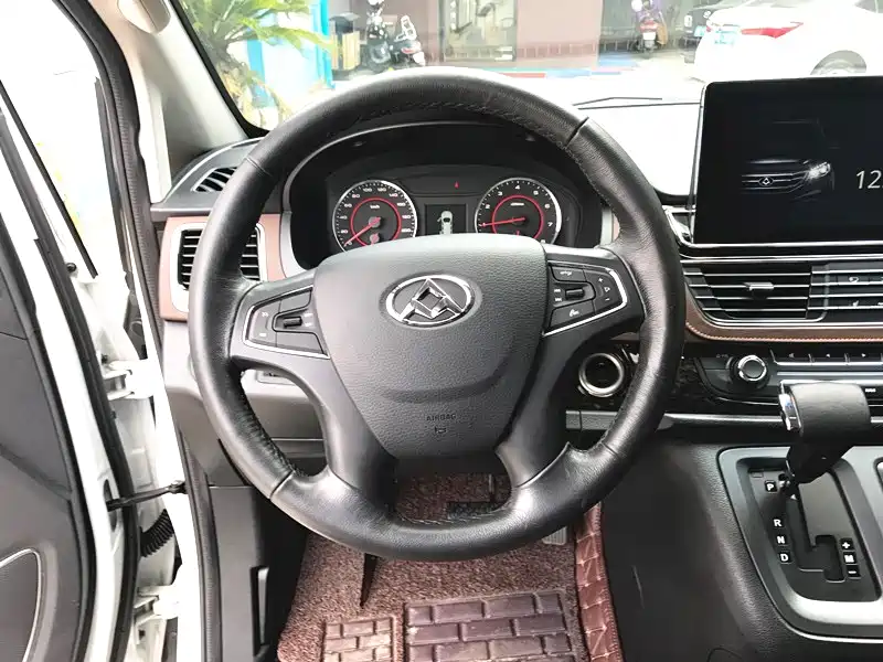 SAIC MAXUS CHASE G10