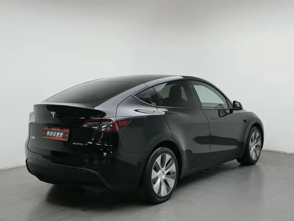 Tesla Model Y — миниатюра 2
