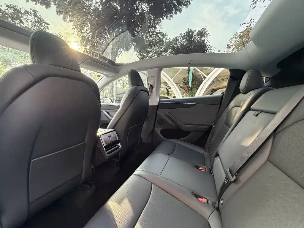 Tesla Model Y — миниатюра 11