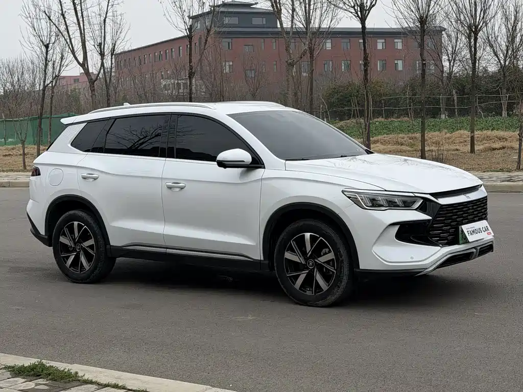 BYD SONGJIANG NEW ENERGY