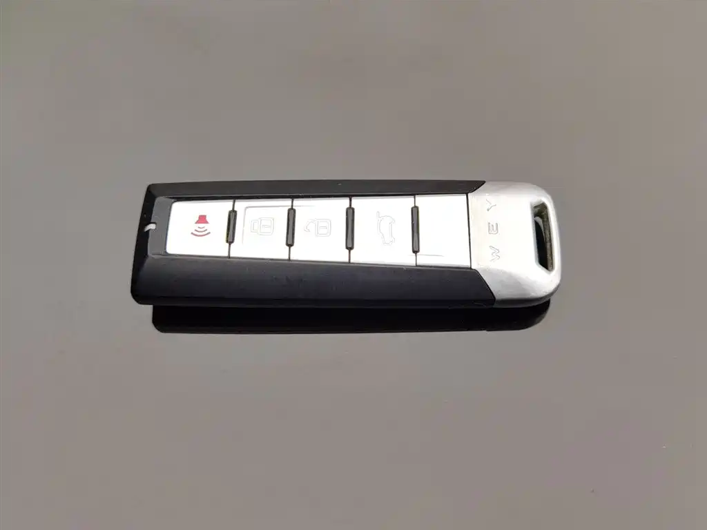 WEI PAI WEI BRAND VV7