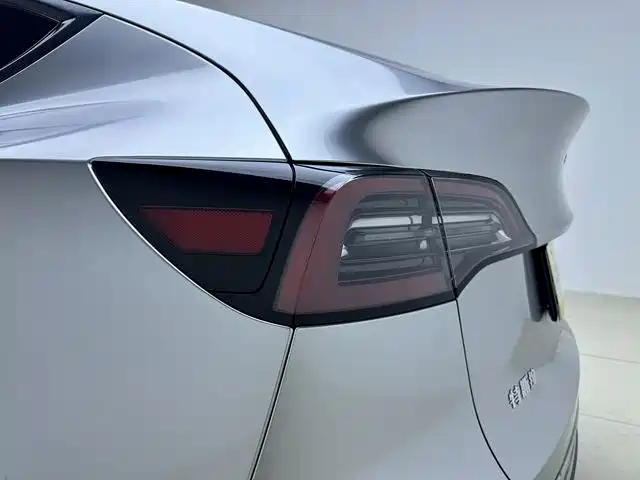Tesla Model Y — миниатюра 20