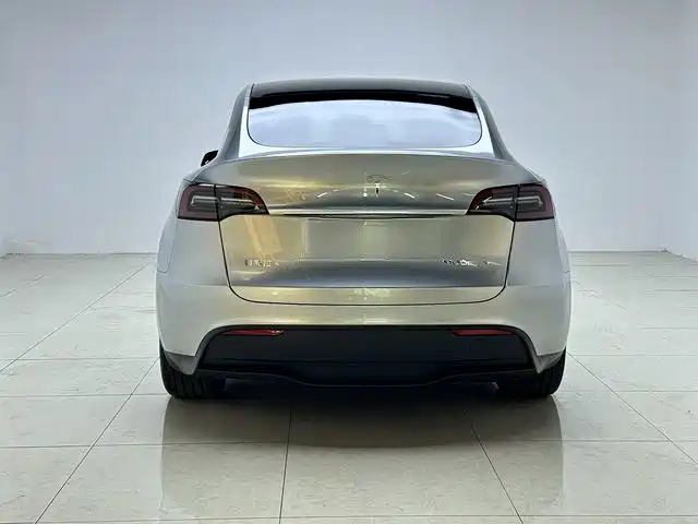 Tesla Model Y — миниатюра 6