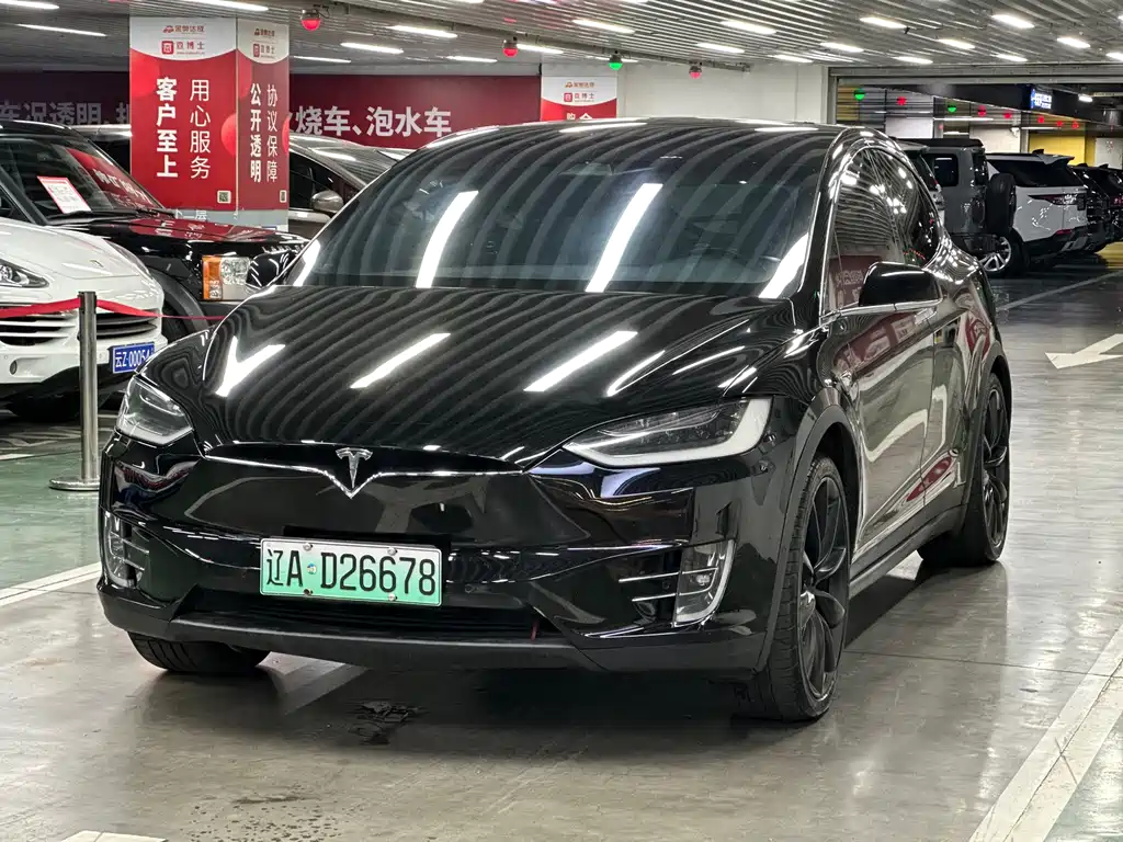 Tesla Model X — миниатюра 2