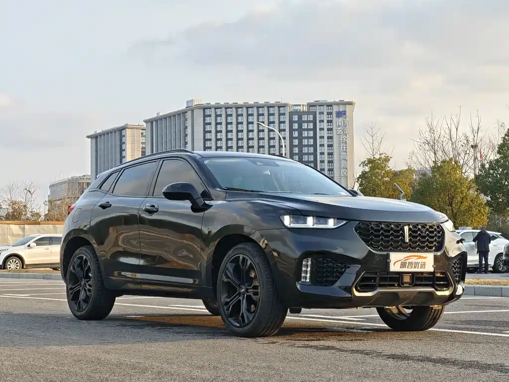 WEI PAI WEI BRAND VV7