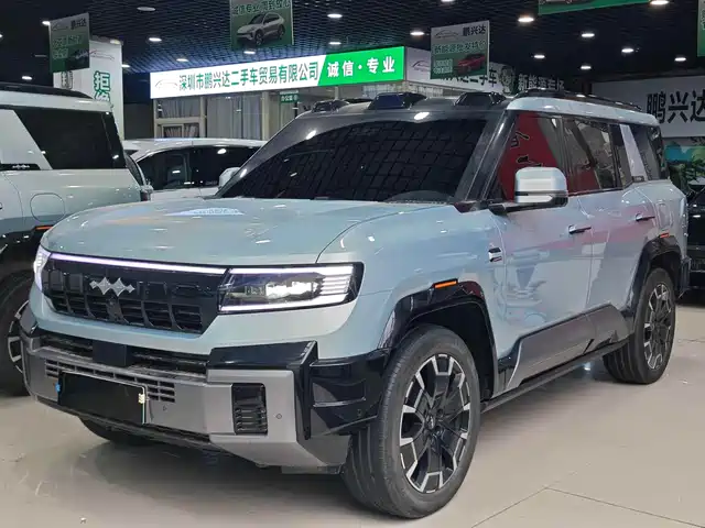 fang-cheng-bao leopard-8