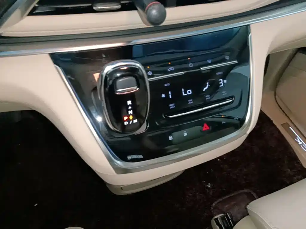Buick GL8 — миниатюра 14