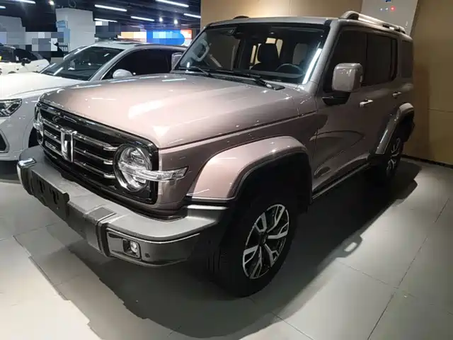 2022 TANK 300