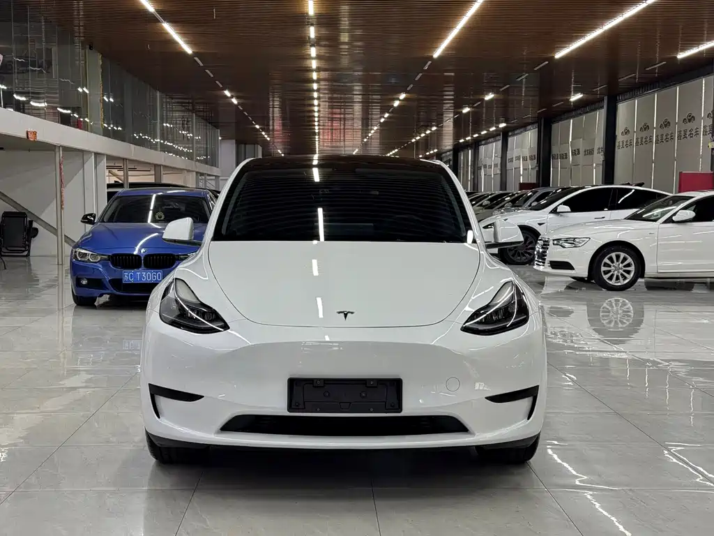 Tesla Model Y — миниатюра 2
