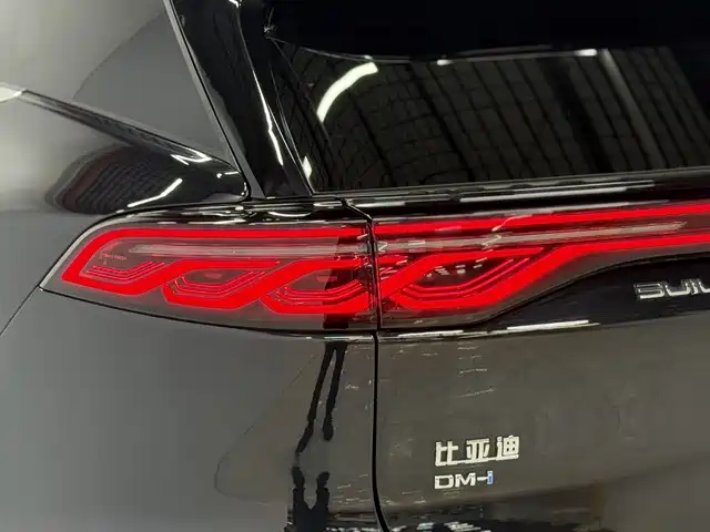 BYD Tang New Energy — миниатюра 9