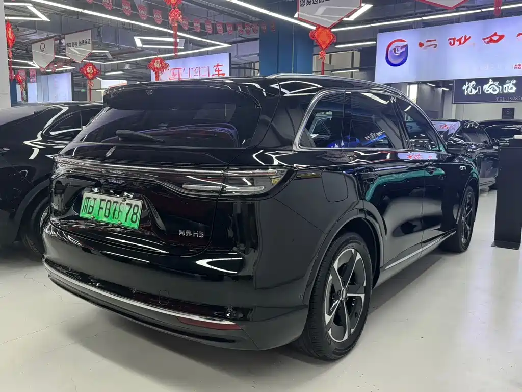 Shangjie Shangjie H5 — миниатюра 11