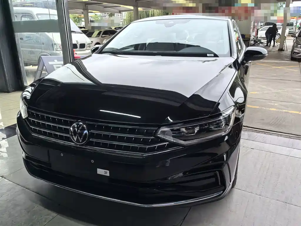 Volkswagen Magotan — миниатюра 2
