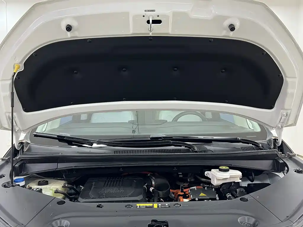 GAC Motor Trumpchi E9 — миниатюра 13