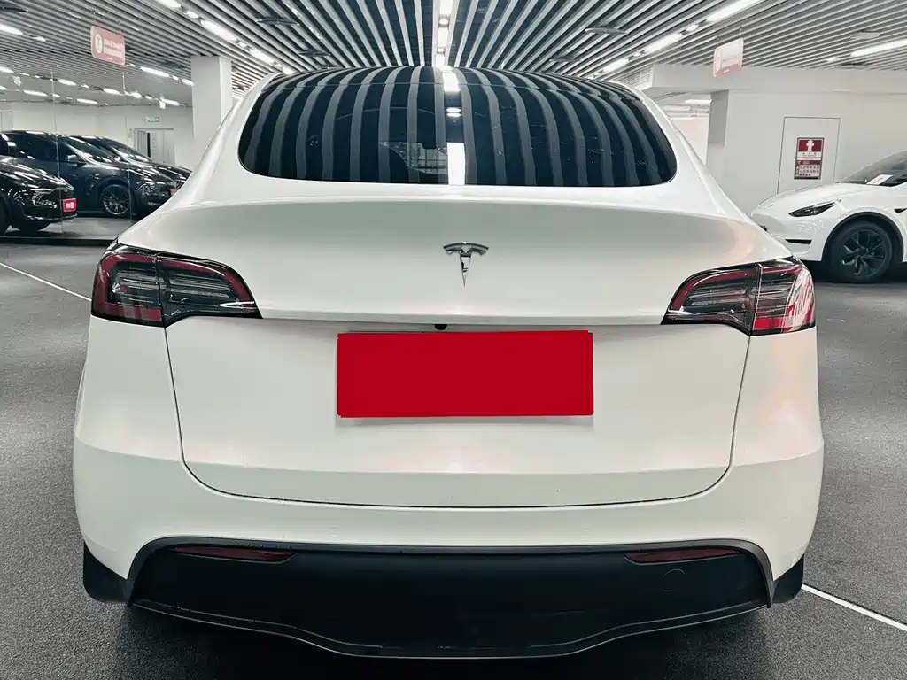 Tesla Model Y — миниатюра 8