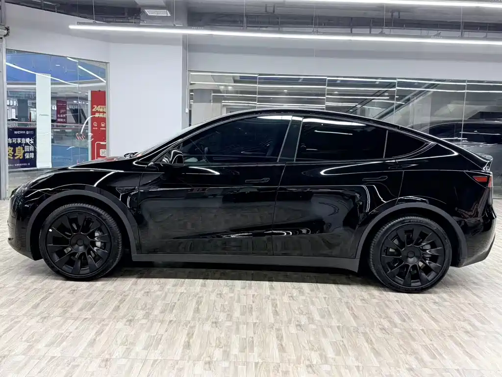 Tesla Model Y — миниатюра 2