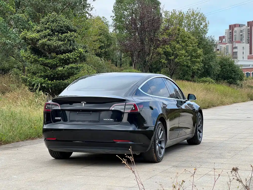 Tesla Model 3 — миниатюра 6