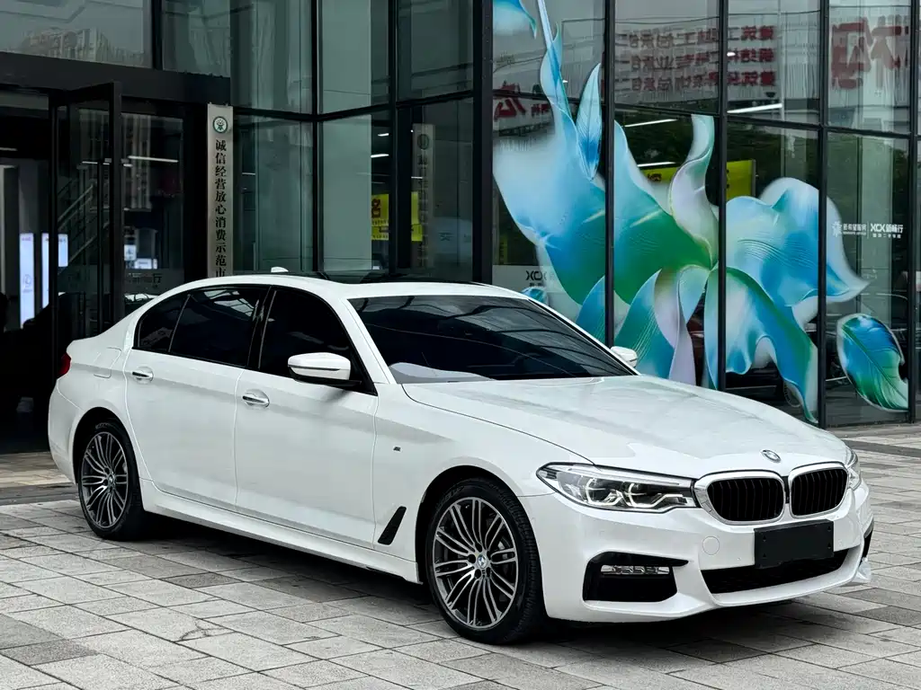 BMW 5 Series — миниатюра 3