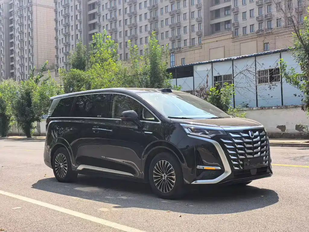 Denza Denza D9 — миниатюра 3