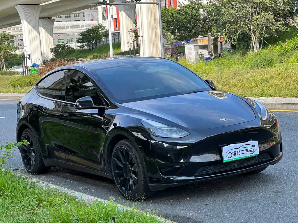 Tesla Model Y — миниатюра 2