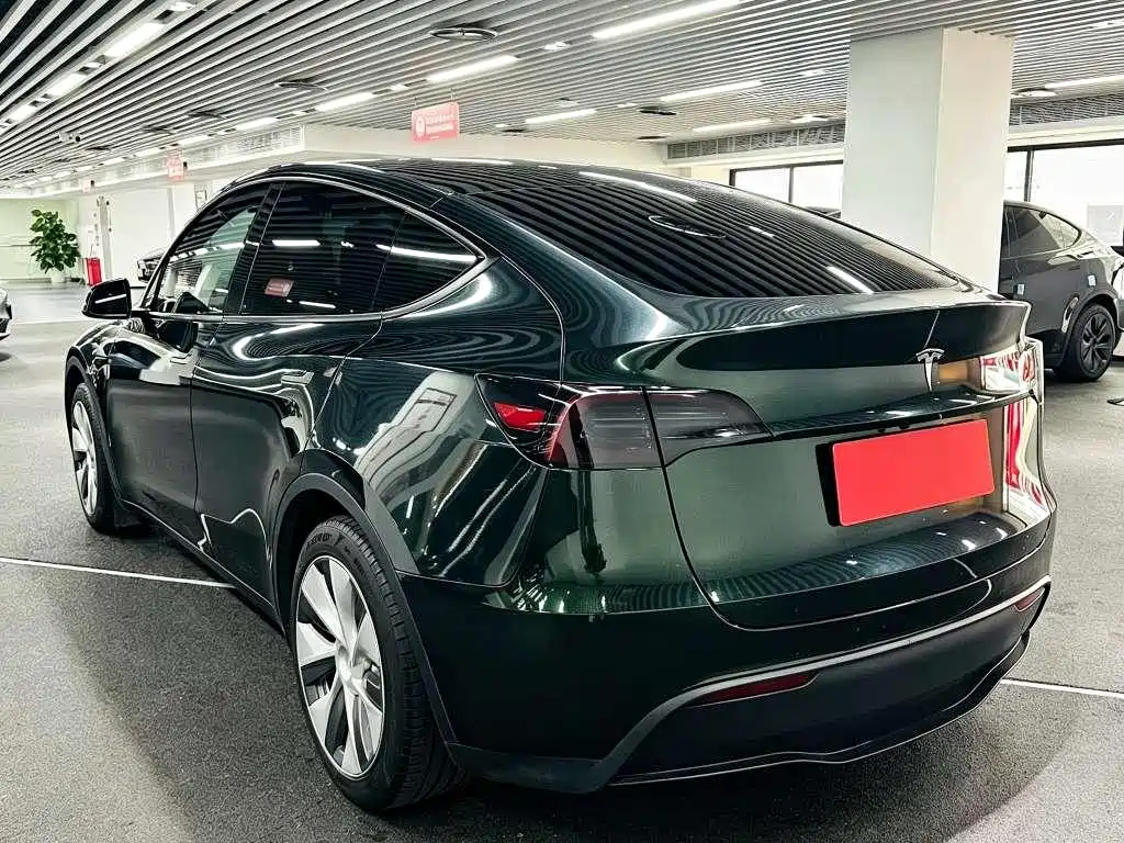 Tesla Model Y — миниатюра 6