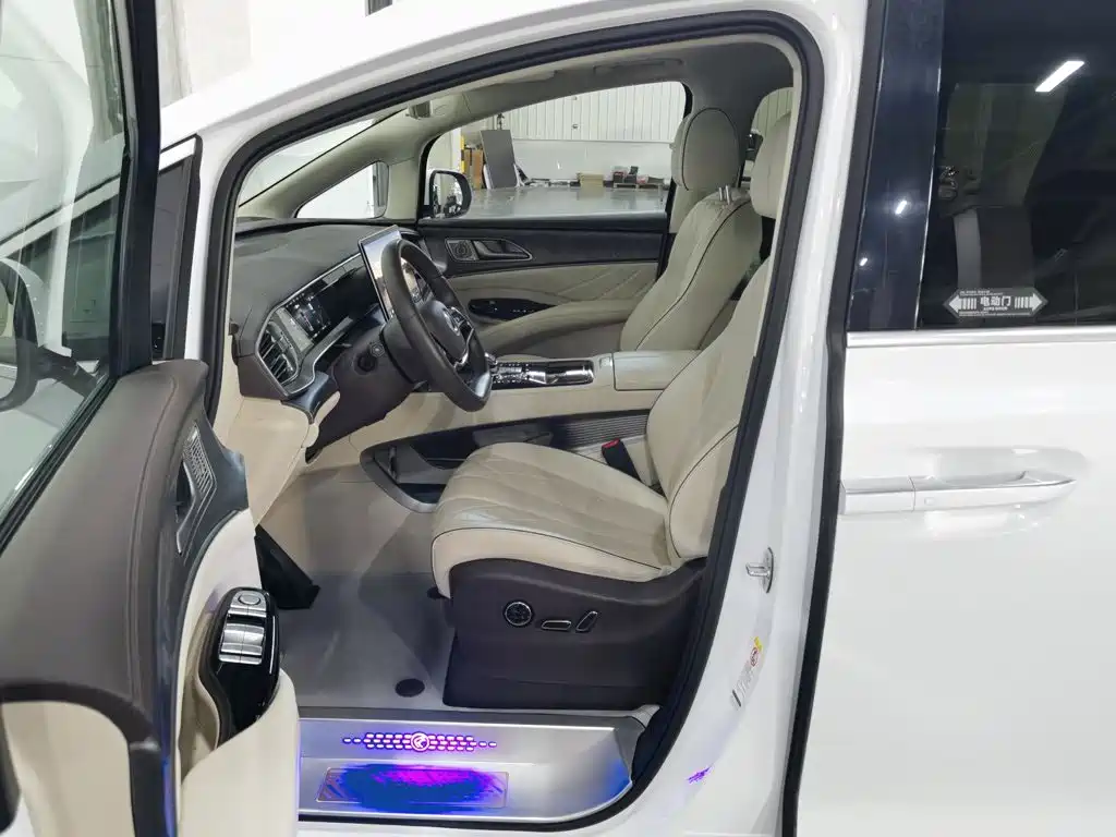 Denza Denza D9 — миниатюра 10