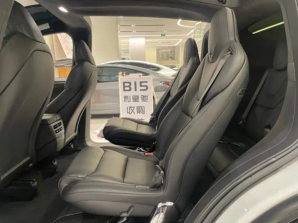Tesla Model X — миниатюра 6
