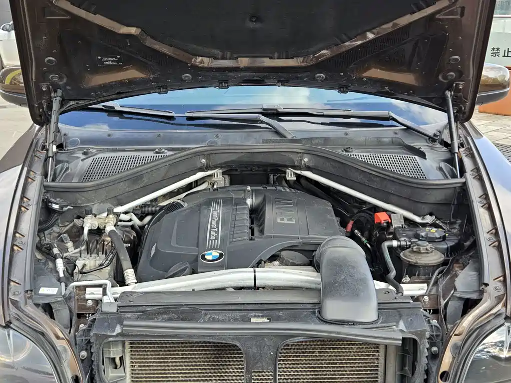 BMW X6 — миниатюра 15
