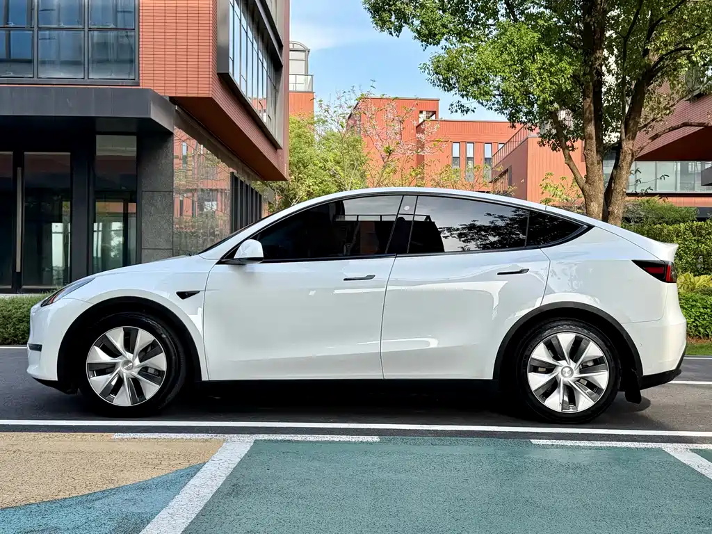 Tesla Model Y — миниатюра 9