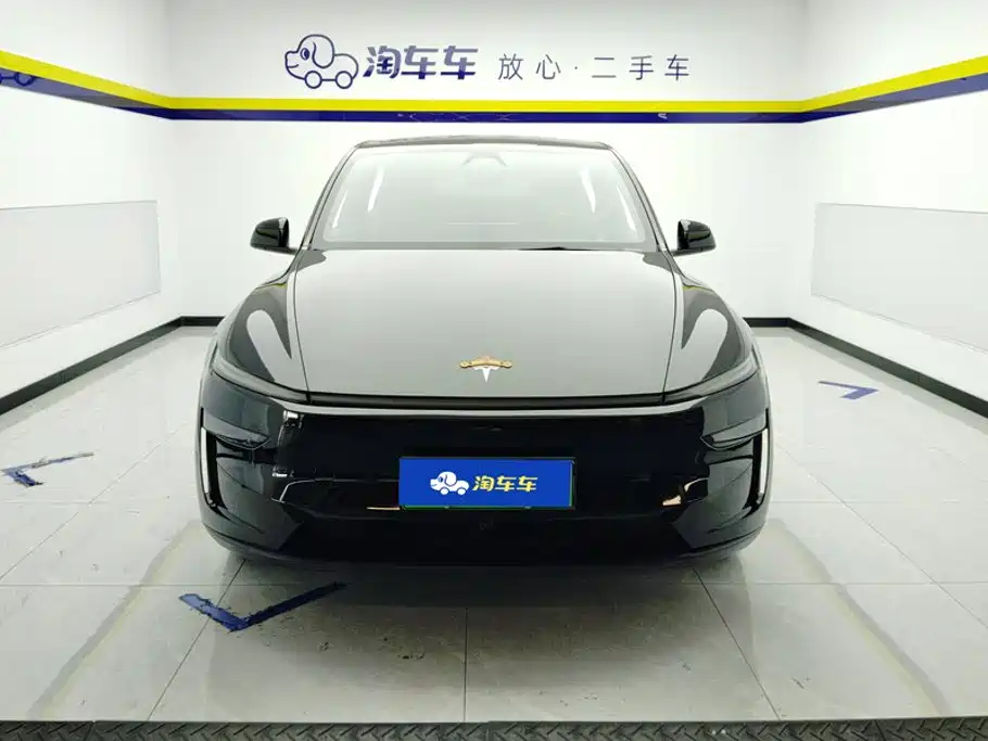 Tesla Model Y — миниатюра 2