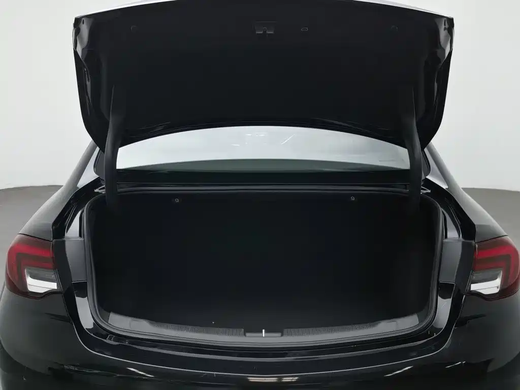 Buick Regal — миниатюра 16