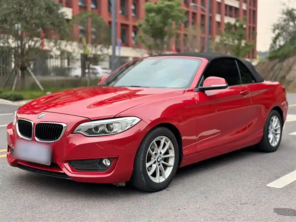 BMW 2 Series (Import) 2017