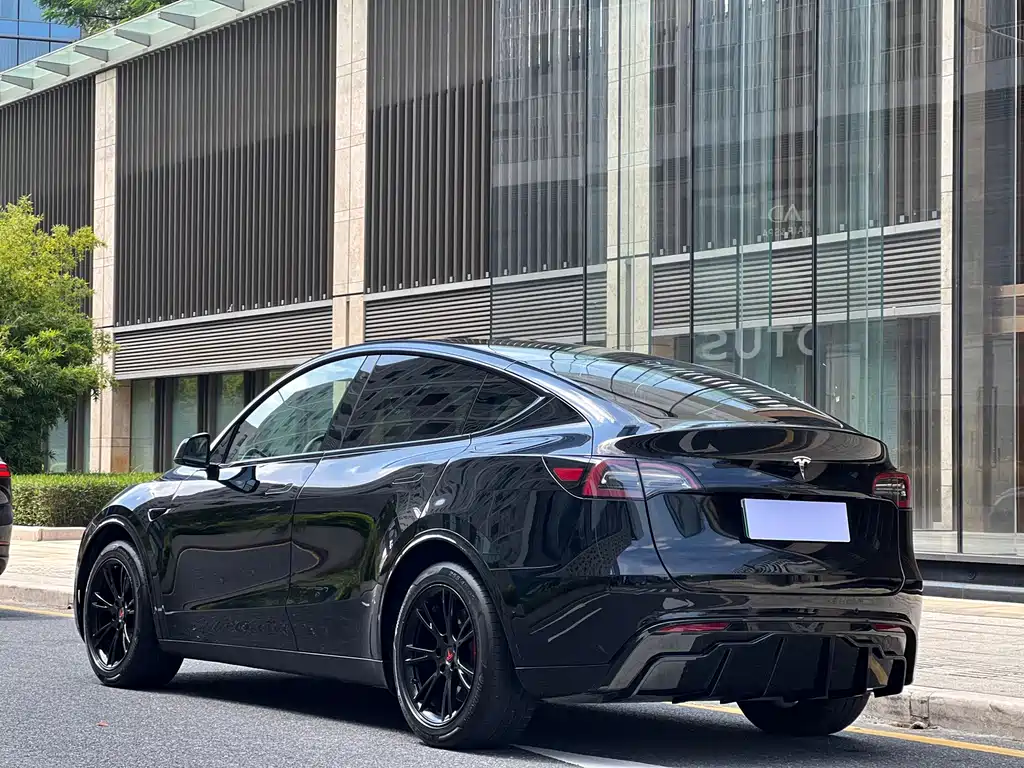 Tesla Model Y — миниатюра 20