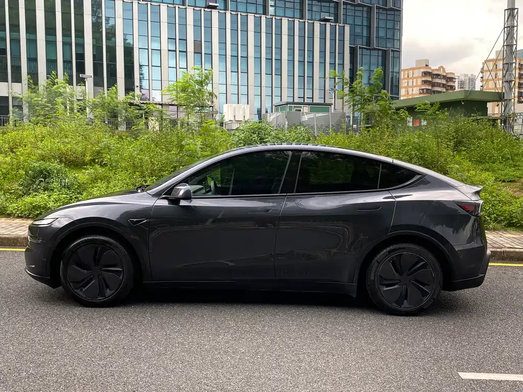 Tesla Model Y — миниатюра 18