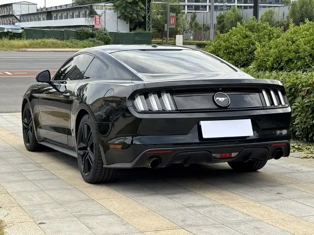 Ford Mustang — миниатюра 7