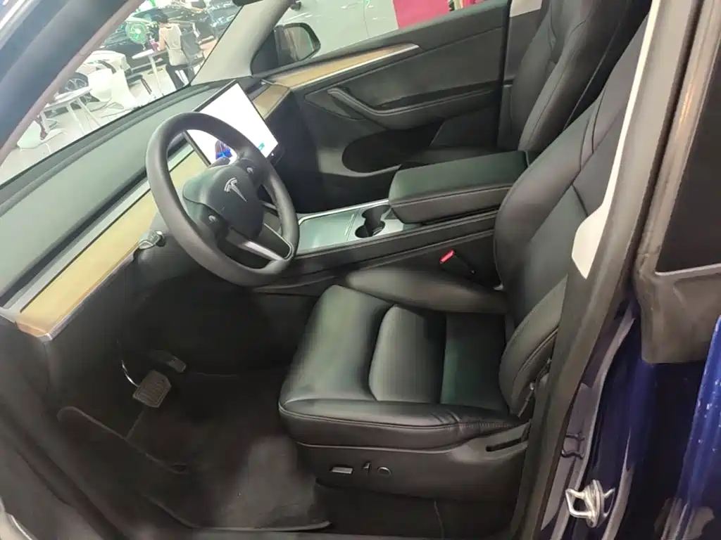 Tesla Model Y — миниатюра 15