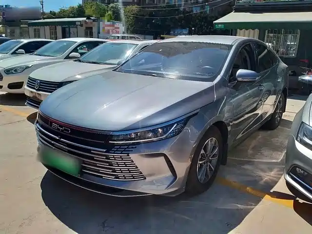 BYD DESTROYER 05 2024