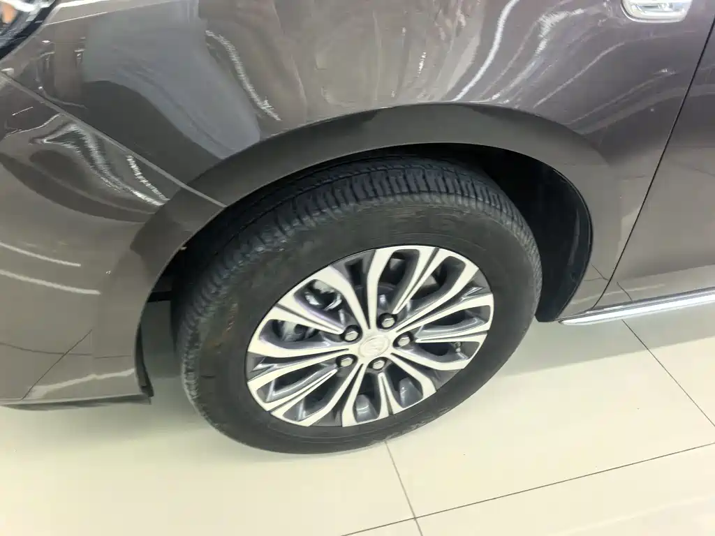 Buick GL8 — миниатюра 10