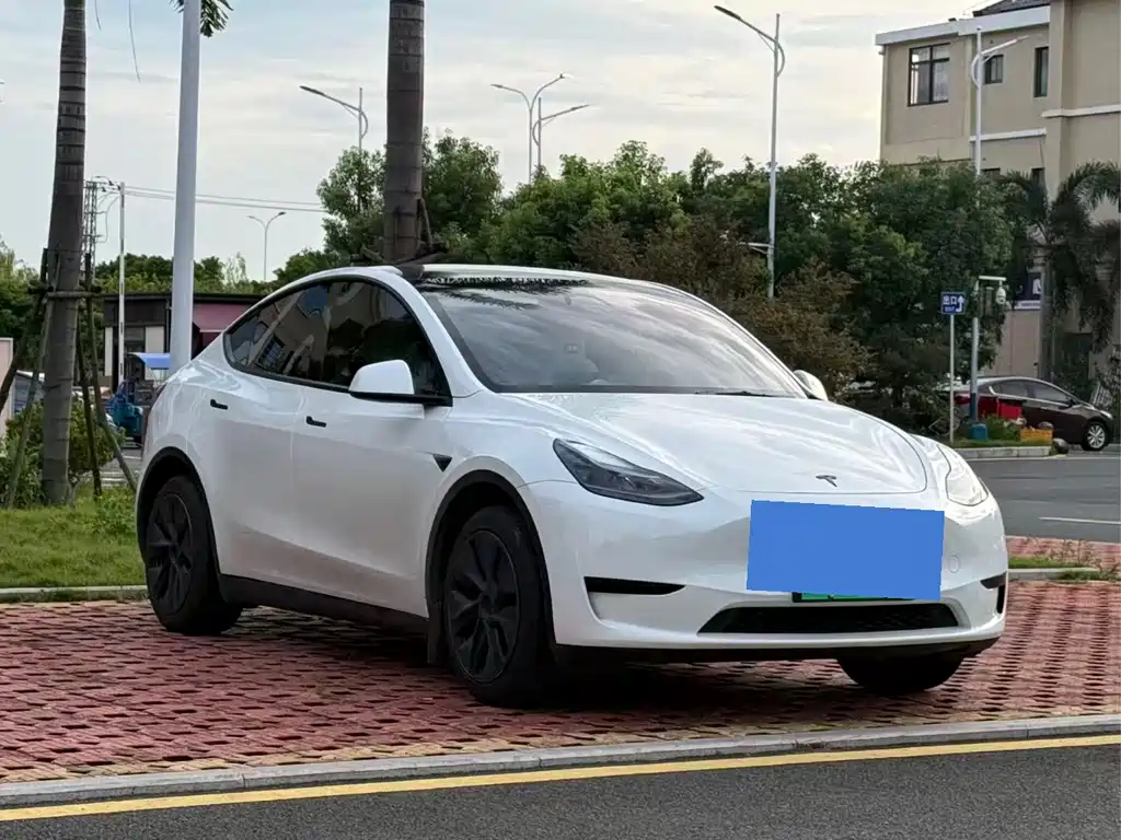 Tesla Model Y — миниатюра 3
